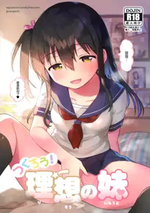 Tsukurou! Risou no Imouto, 中文