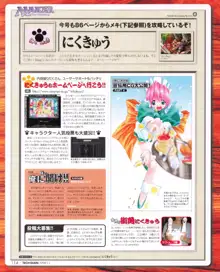 Tech Gian Issue 25, 日本語