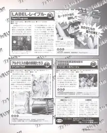 Tech Gian Issue 25, 日本語