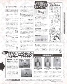 Tech Gian Issue 25, 日本語