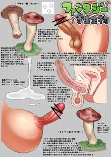 部分的性奴隷 - 欲得堂, 日本語