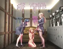 Futanari Gakuen Nikubenkika Ninensei, 中文