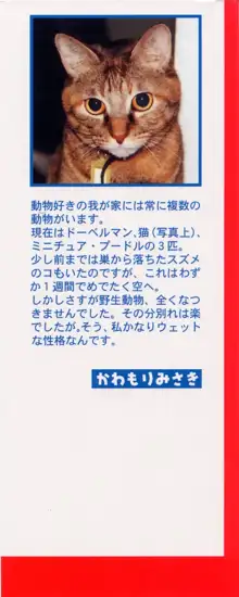 Hにキスして！ Vol. 1, 日本語