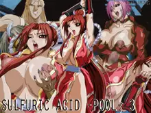 SULFURIC ACID -POOL- 3, 日本語