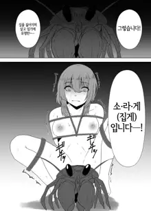 Naeoko Shoujo, 한국어