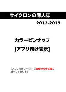 サイクロンの同人誌まとめ 2012-2019 Ver1.7, 日本語