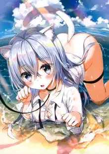 Umi de Neko o Hirotta., 中文