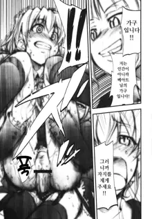 Umineko no Naku Youni Nake | 괭이갈매기 울듯이 울어, 한국어