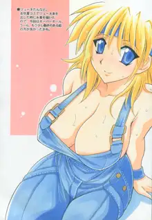 スパロボのHな魔乳本, 日本語