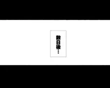 ~もしもオOニーの介護をしてくれるナースさんがいたら…♥~, 日本語