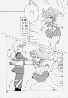 Sailor Jupiter, 日本語