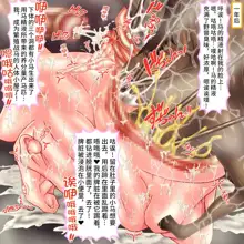 Noroi no Fushi Kishi Cecilia ~Kitaenukareta Onna Kishi no Nikutai ga Ranshi Kokatsu suru made Ryoujoku sare Gro Ana Nikubukuro e Kaerareru~, 中文