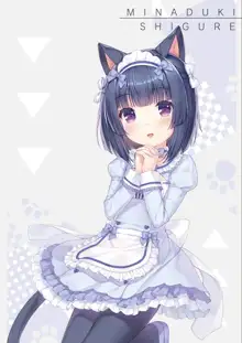 NEKOPARA Vol. 4, 日本語