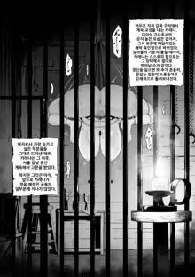 Toraware no Onna Kishi, Kairaku Nku Ningyou ni Sareru | 사로잡힌 여기사, 쾌락 육인형이 되다, 한국어