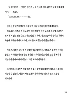 Hitoyo-chan no Junan Short Story 2, 한국어