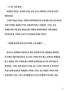 Hitoyo-chan no Junan Short Story 2, 한국어