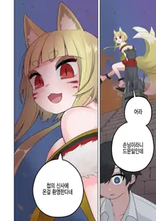 Inran Kitsune Musume no Kamikakushi, 한국어