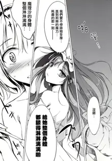 SLEEPING MAGE -Mahou no Mori no Nemurihime- Gekidoku Shoujo Publication Number VII, 中文