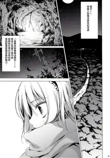 SLEEPING MAGE -Mahou no Mori no Nemurihime- Gekidoku Shoujo Publication Number VII, 中文