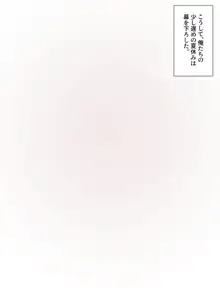 あでやかナーシング ～宮下さんの休日～, 日本語