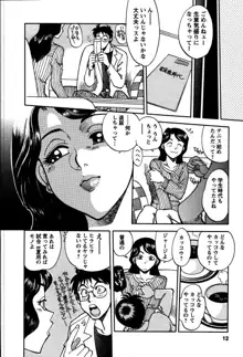 秘蜜な奥様, 日本語