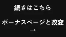 ヒストリア・繁殖性奴隷  + 賞与, 日本語