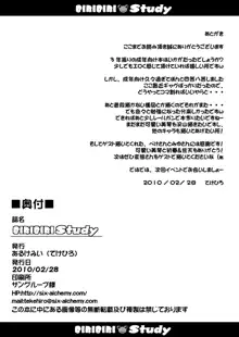 BIRIBIRI Study, 日本語