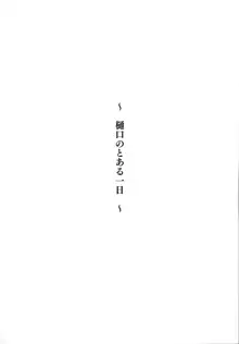 樋口のとある一日, 日本語