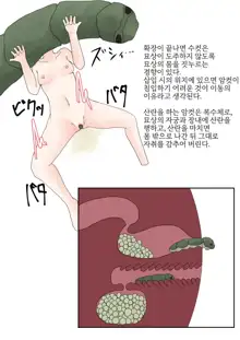 Oomushikaisetuzukan, 한국어