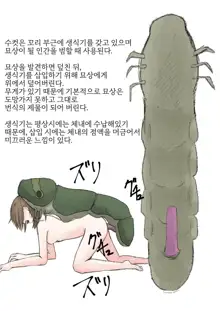 Oomushikaisetuzukan, 한국어