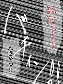 現役女子〇〇生SM絶対女王様エレーナちゃん, 日本語