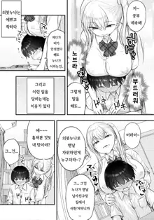 Onee-chan ga Ki ni Natte... | 의붓누나양이 신경쓰여서..., 한국어