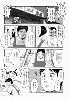 ハナさんの休日, 日本語