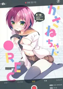 かさねちゃん●REC, 日本語