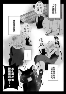 Kuroneko Kareshi ~Hatsujouki Kemono no Zetsurin H ni Gochuui!!~ | 黑猫男友～请注意发情期野兽带来的绝顶h！！ Ch. 1-6 end, 中文