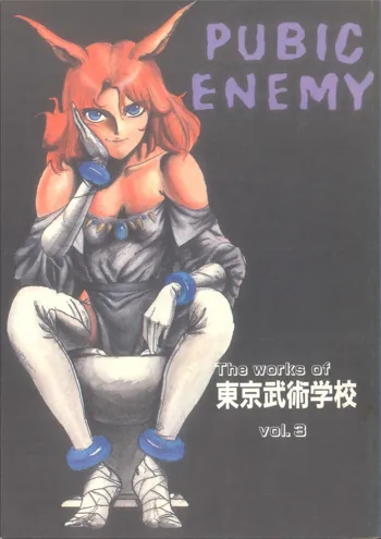 PUBIC ENEMY Vol.3, 日本語