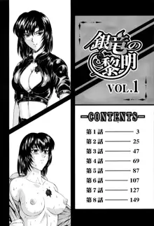 Ginryuu no Reimei Vol. 1, 中文