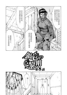 Ginryuu no Reimei Vol. 1, 中文