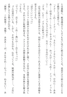 綾音 ―奪われた放課後―, 日本語