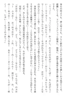 綾音 ―奪われた放課後―, 日本語