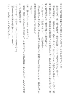 綾音 ―奪われた放課後―, 日本語