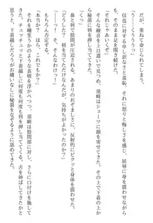 綾音 ―奪われた放課後―, 日本語