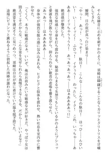 綾音 ―奪われた放課後―, 日本語