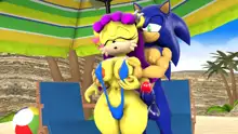 Sonic And Mina's Kinky Summer Fun, 日本語