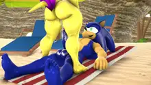 Sonic And Mina's Kinky Summer Fun, 日本語