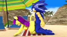 Sonic And Mina's Kinky Summer Fun, 日本語