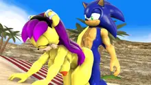 Sonic And Mina's Kinky Summer Fun, 日本語