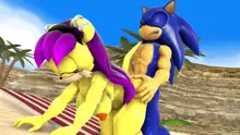 Sonic And Mina's Kinky Summer Fun, 日本語