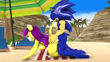 Sonic And Mina's Kinky Summer Fun, 日本語