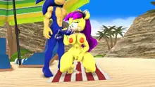 Sonic And Mina's Kinky Summer Fun, 日本語